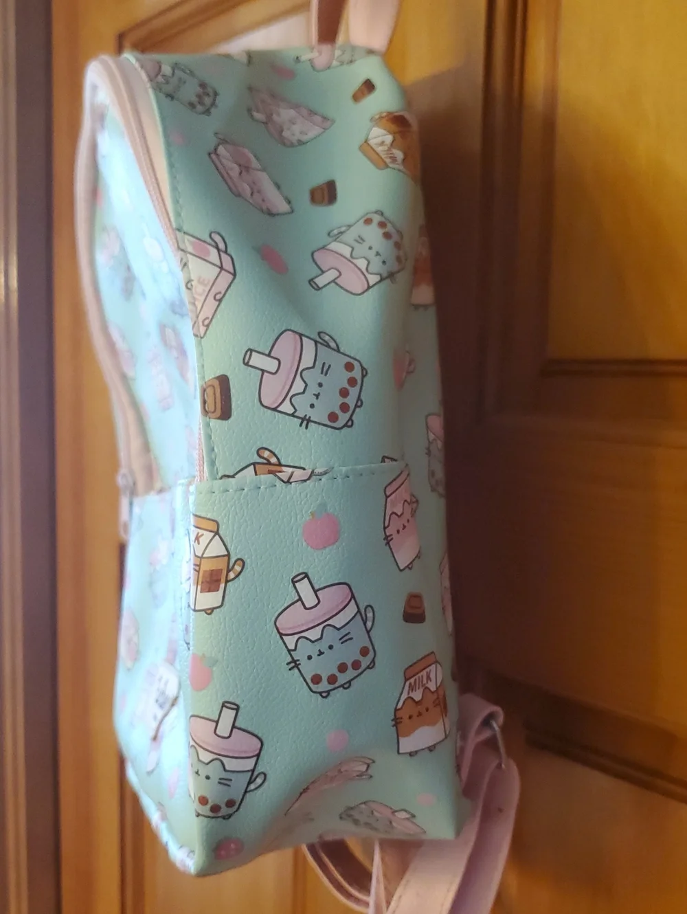 Pusheen adorable pattern